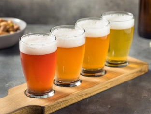 Illustration of Craft Beer Knowledge